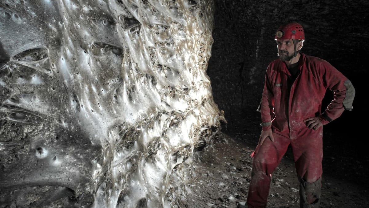 Griechenland: Gewaltiges Spinnennetz in Höhle entdeckt