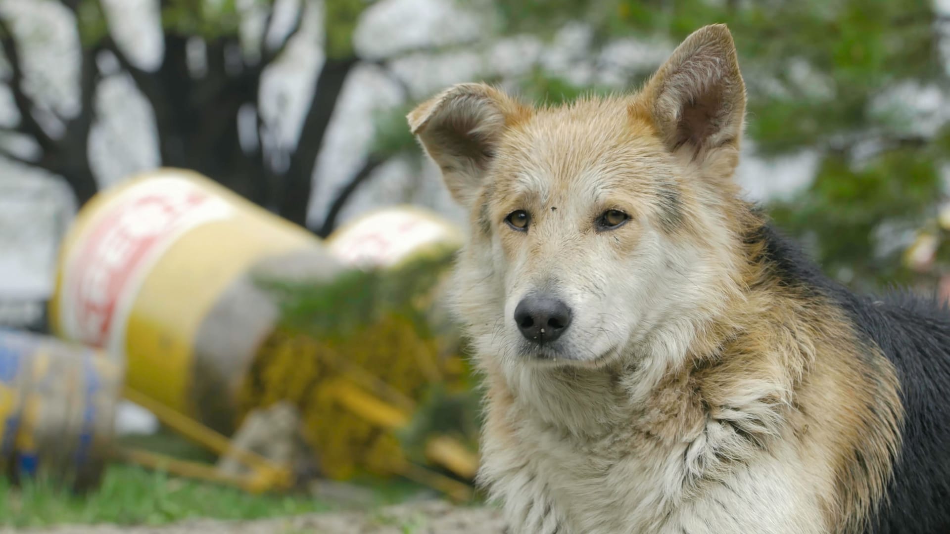 imago images 0831018422 imago images 0831018422