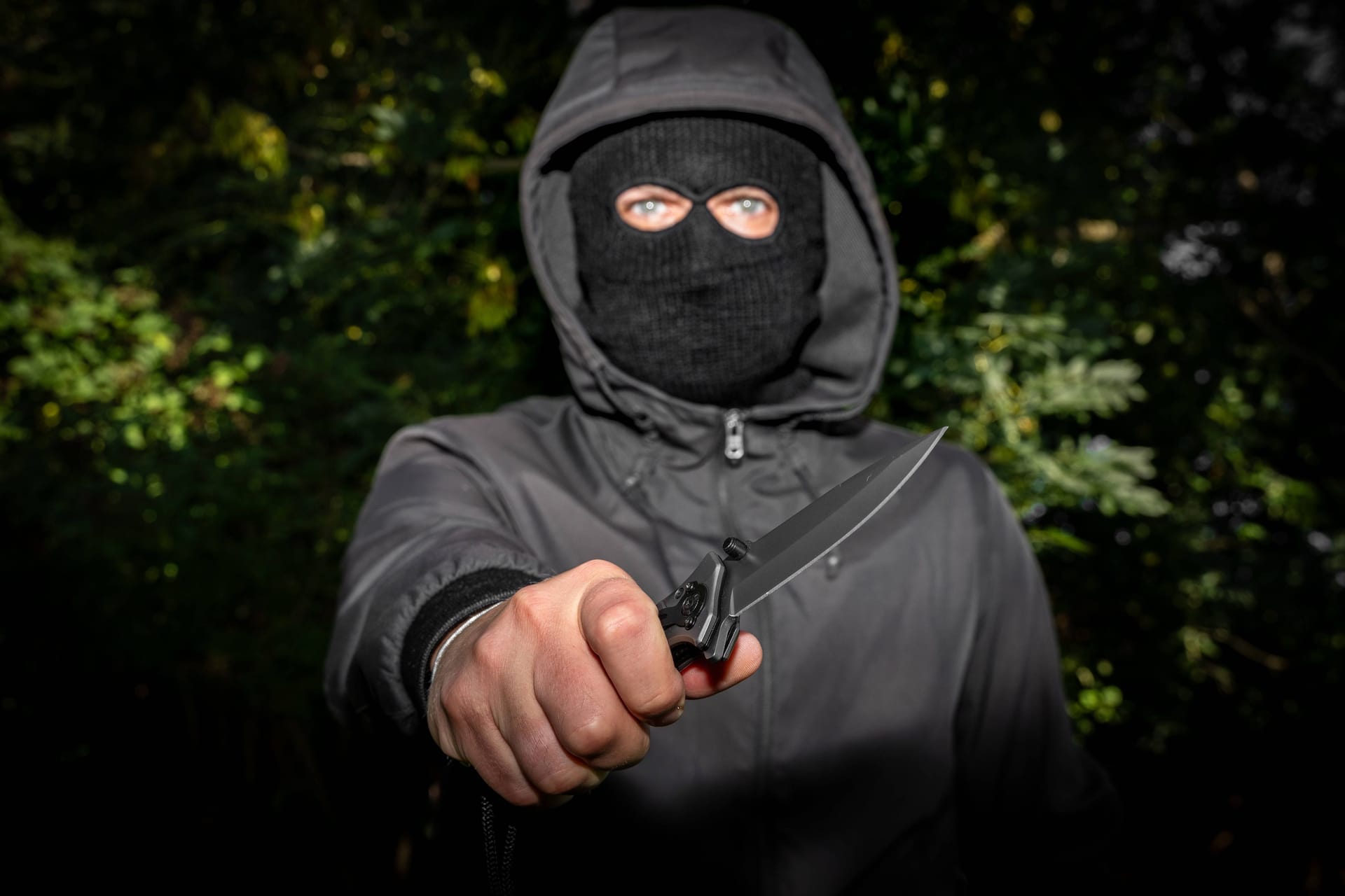 imago images 0831575501