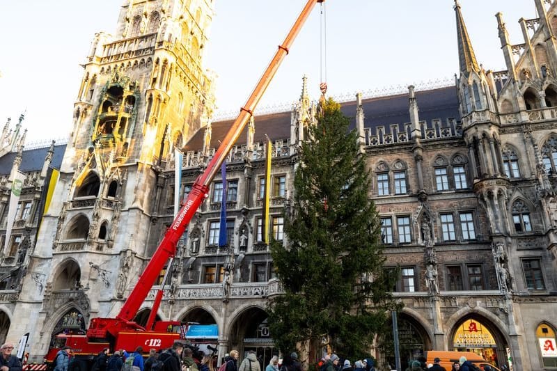 urn:newsml:dpa.com:20090101:251106-935-937870