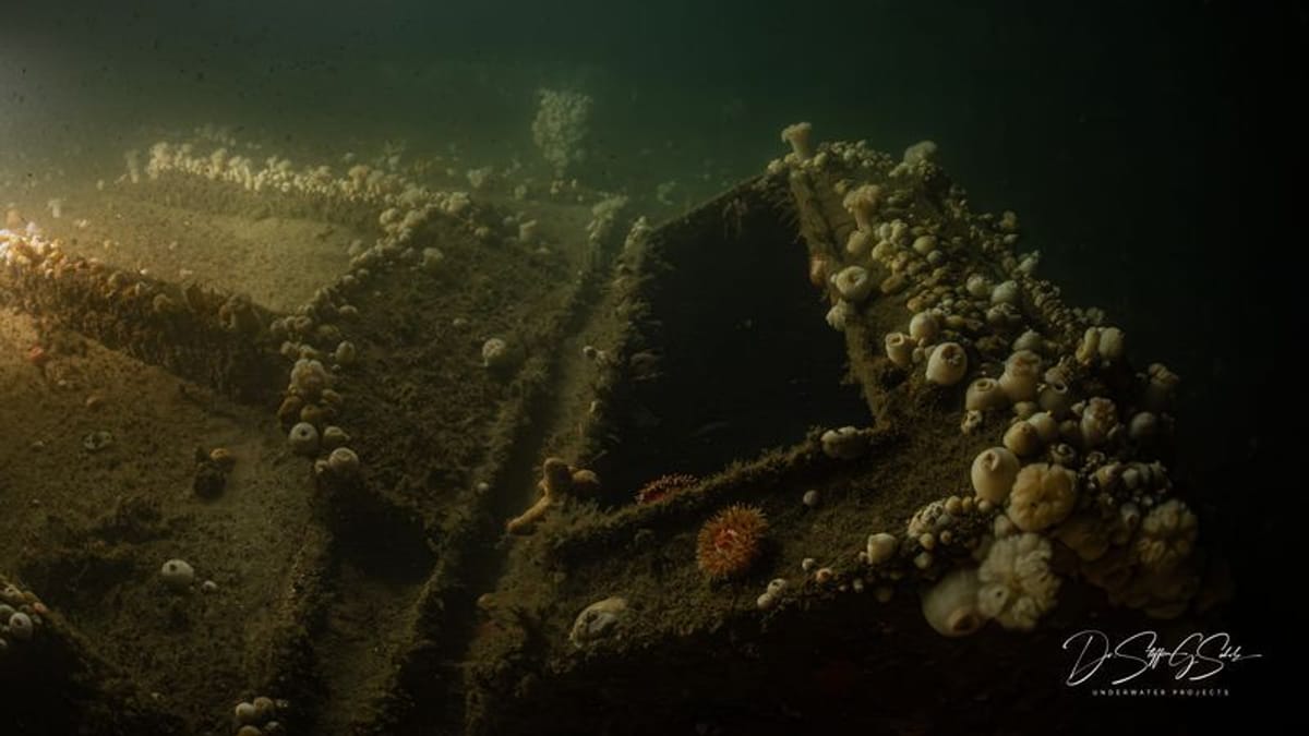 Schiff aus dem Ersten Weltkrieg: Forscher machen sensationellen Fund