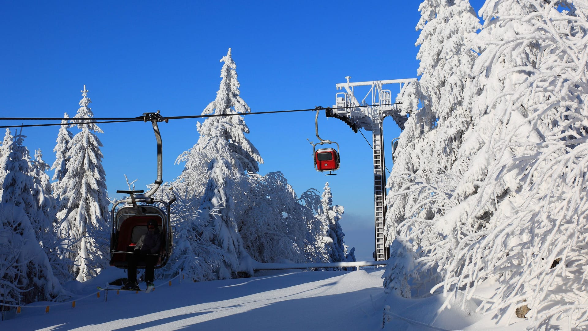 imago images 116768050