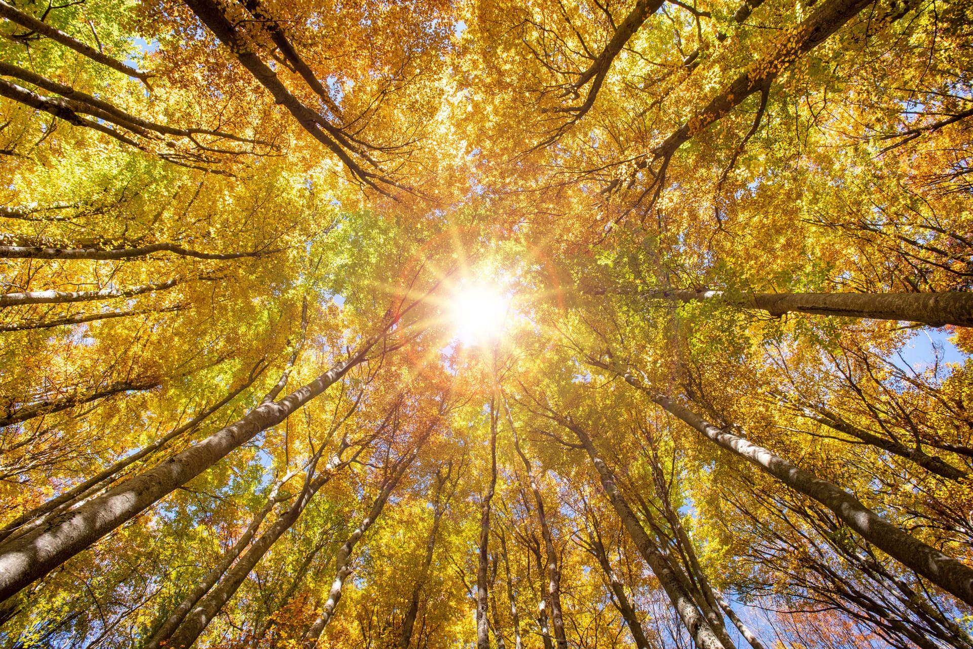 imago images 0836842990