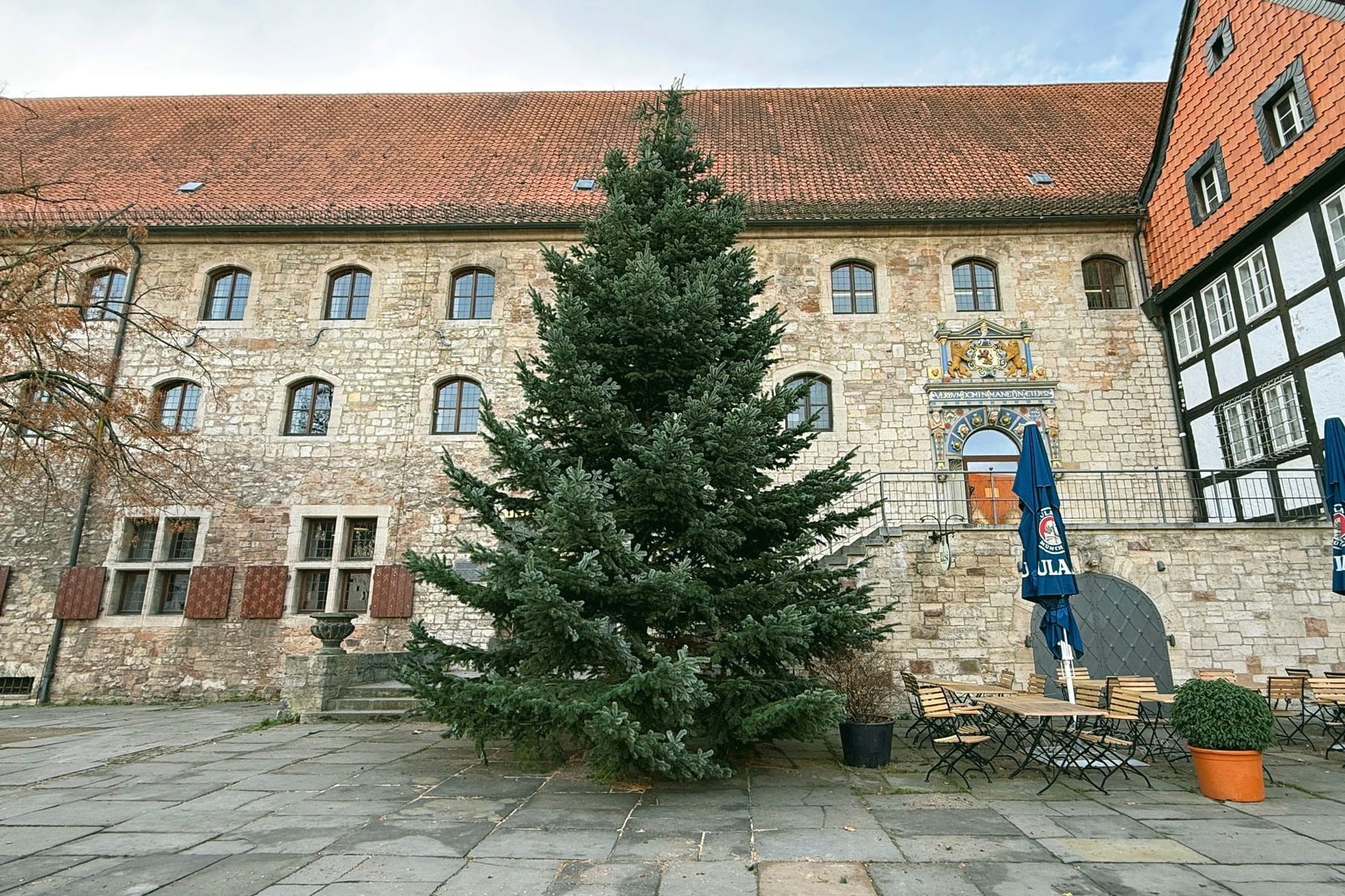 Tanne auf dem Altstadtmarkt: Auch auf dem Domplatz steht ein Vorbote auf eine besinnliche Adventszeit in Braunschweig.