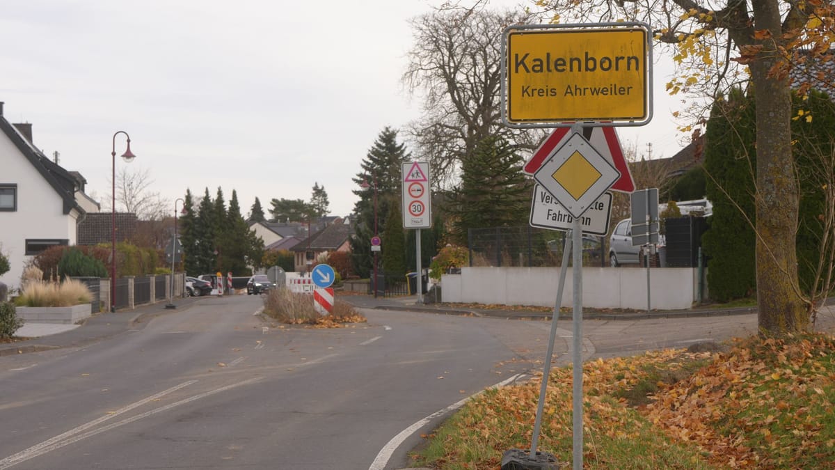 Suche nach mutmaßlicher Großkatze in Rheinland-Pfalz läuft