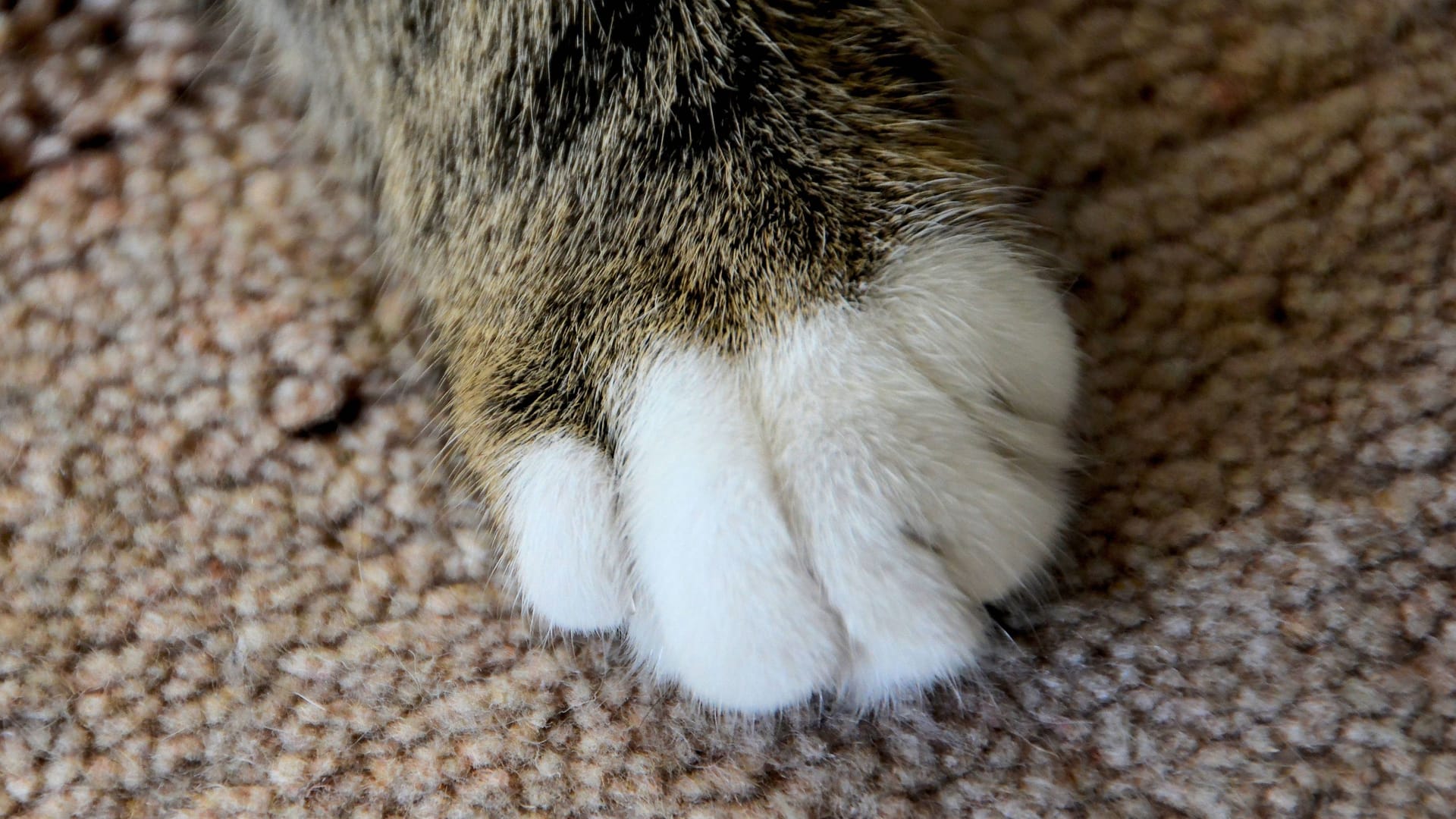 imago images 0757866212 imago images 0757866212