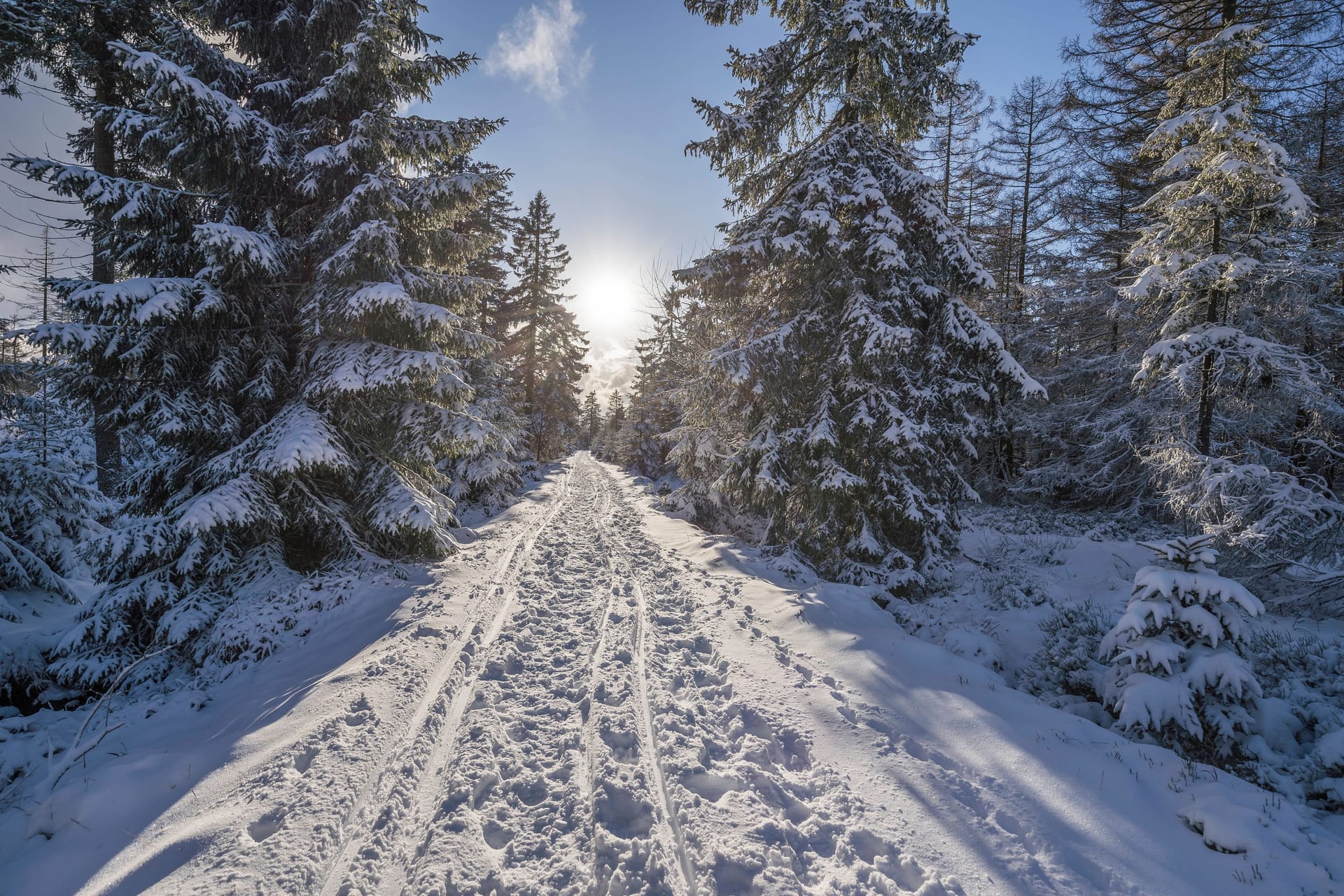 imago images 0834976371