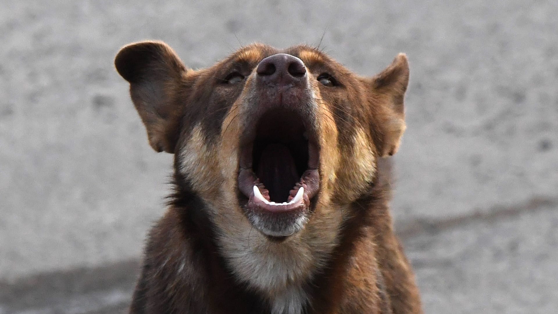 imago images 0311592187 imago images 0311592187