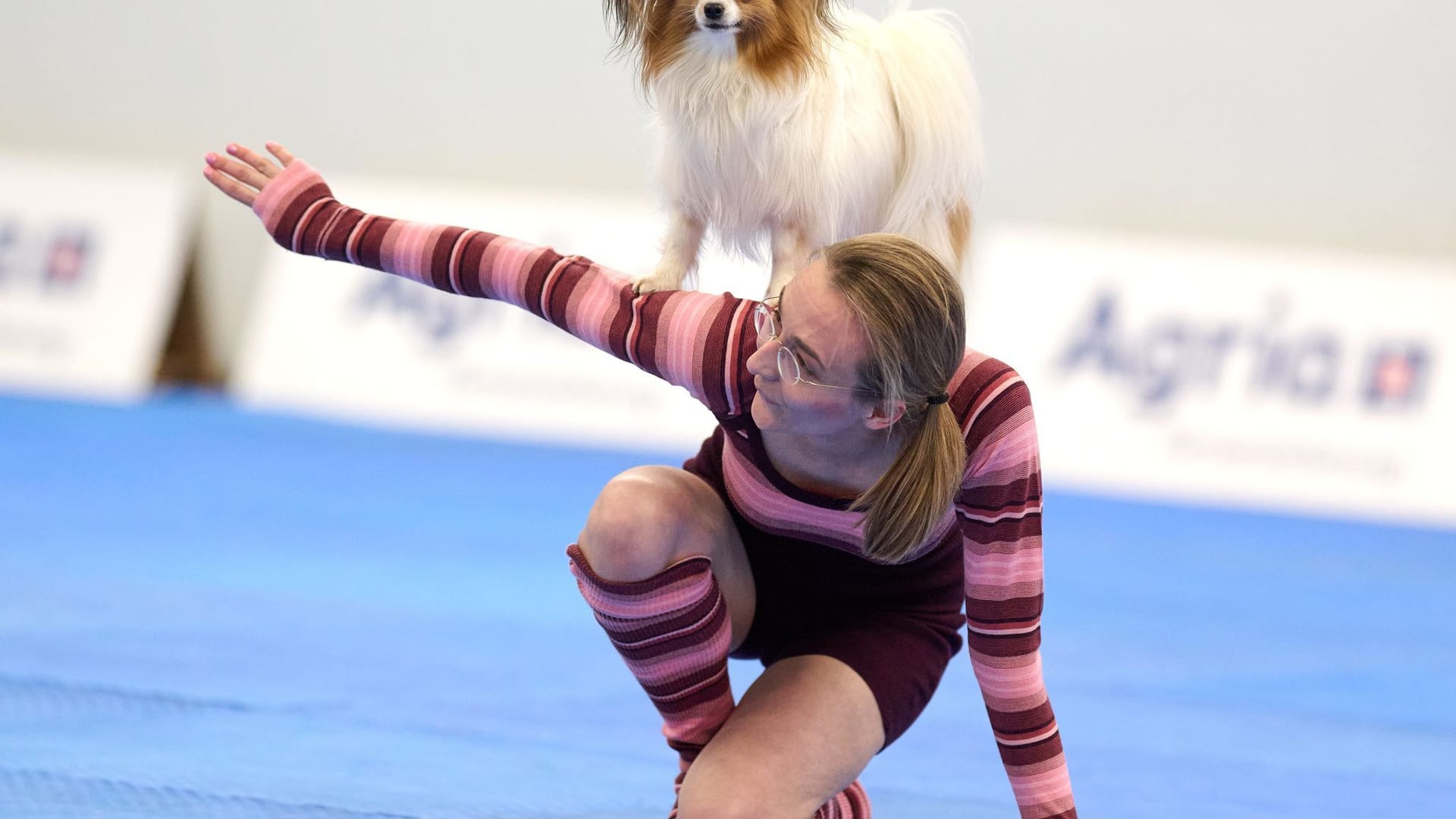 Meisterschaft im Dog Dancing auf Messe «Hund & Pferd»