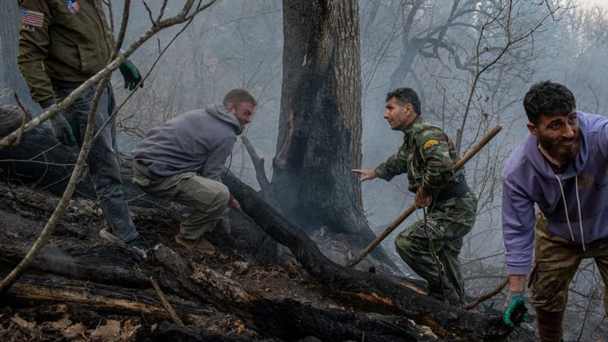 Waldbrand im Iran: Flammen wüten in 50 Millionen Jahre alten Wäldern