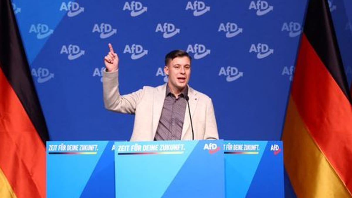 Verfassungsschutz warnt vor neuer AfD-Organisation