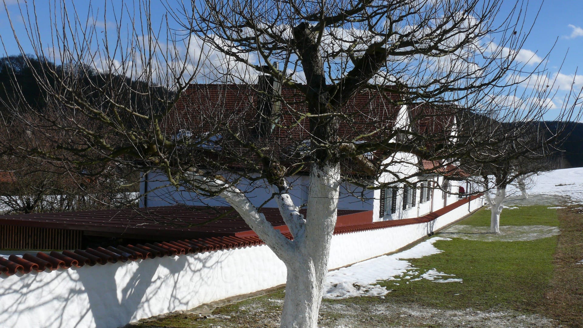 imago images 0384886891