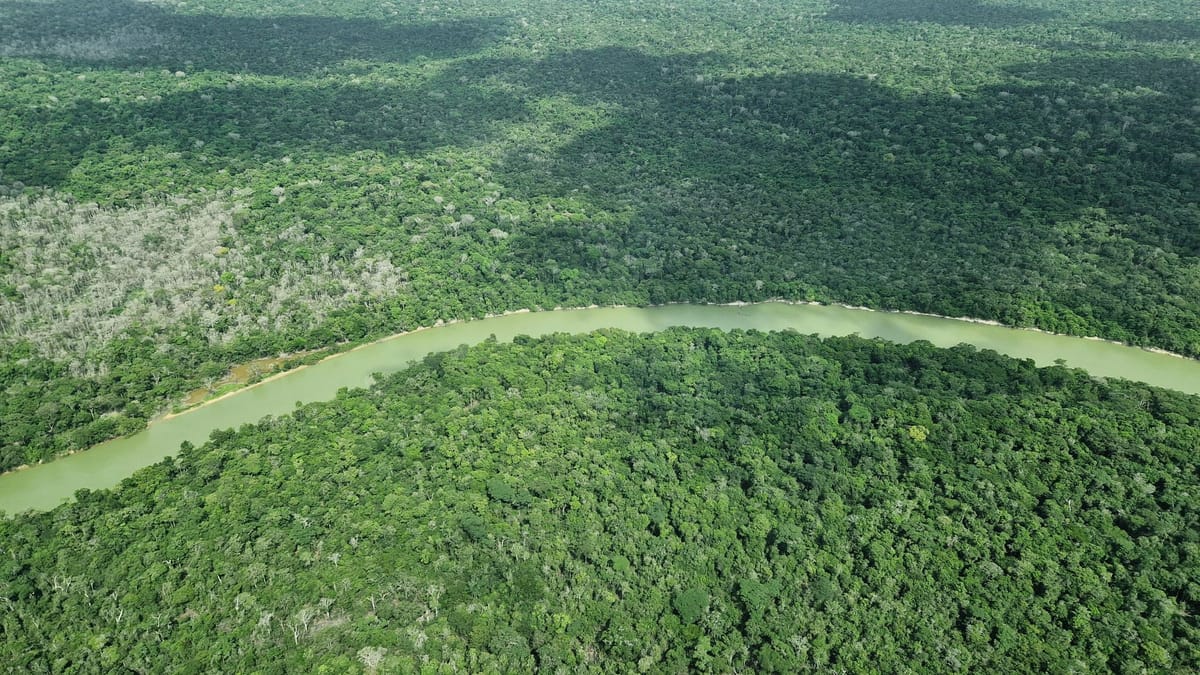 Brasilien: Deutschland gibt eine Milliarde für Tropenfonds