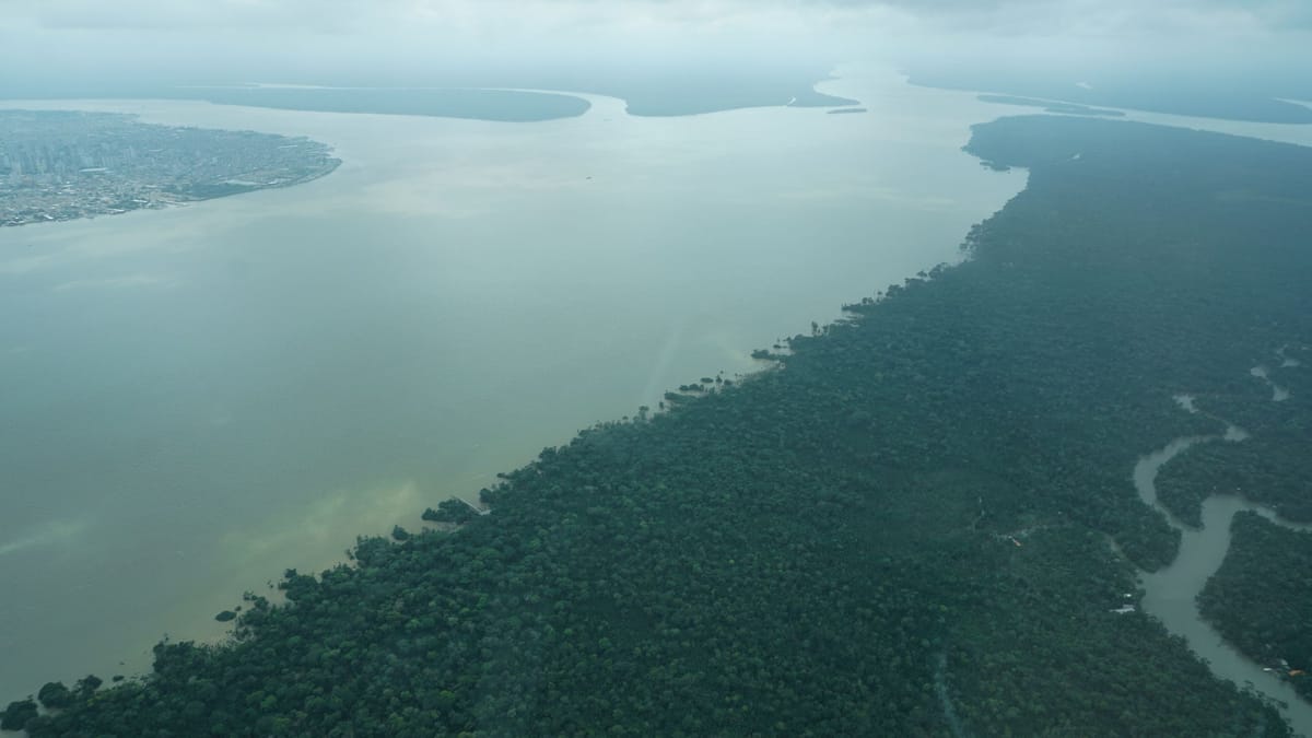 Amazonas im Stress – «auch in Berlin spürbar»