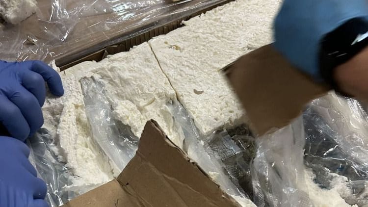 In der Frachtsendung befanden sich mehr als 50 Kilo Cannabis.