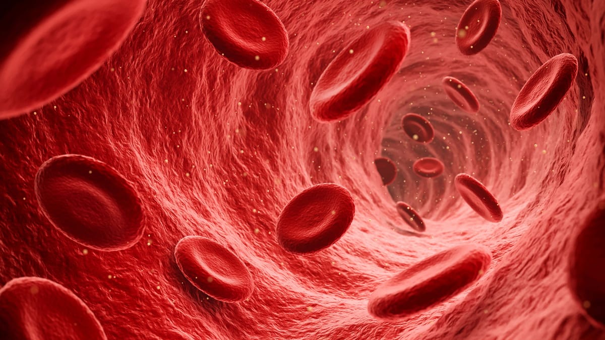 Wie viel Liter Blut hat ein Mensch? Wie viel Liter Blut hat ein Mensch?