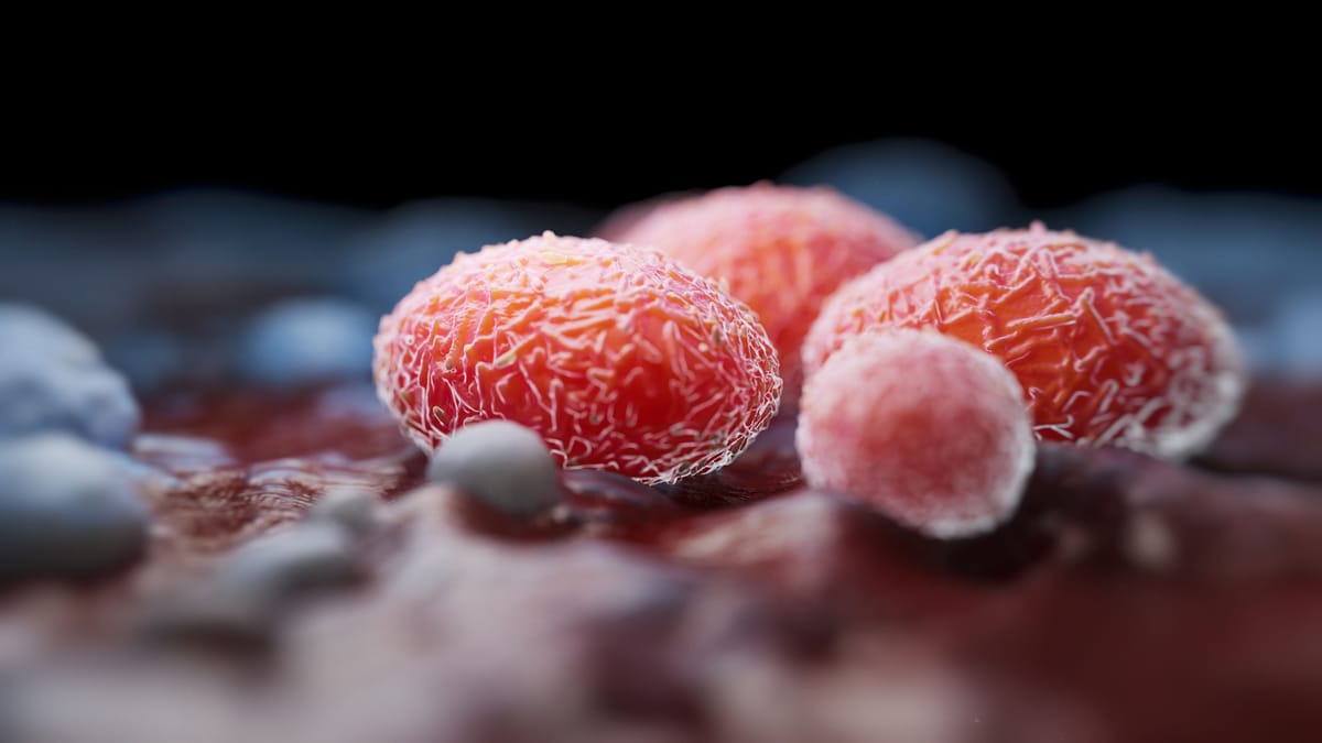 Neue Variante in Großbritannien entdeckt