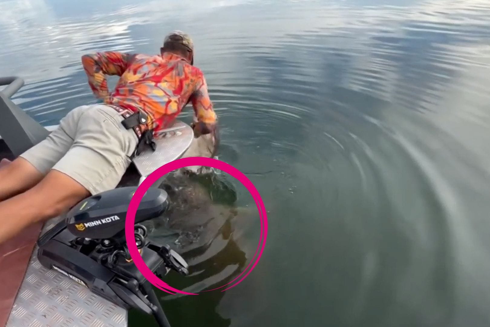 Kariba-See: Ein Krokodil schnappt nach einem Wels, den ein Angler gefangen hat.