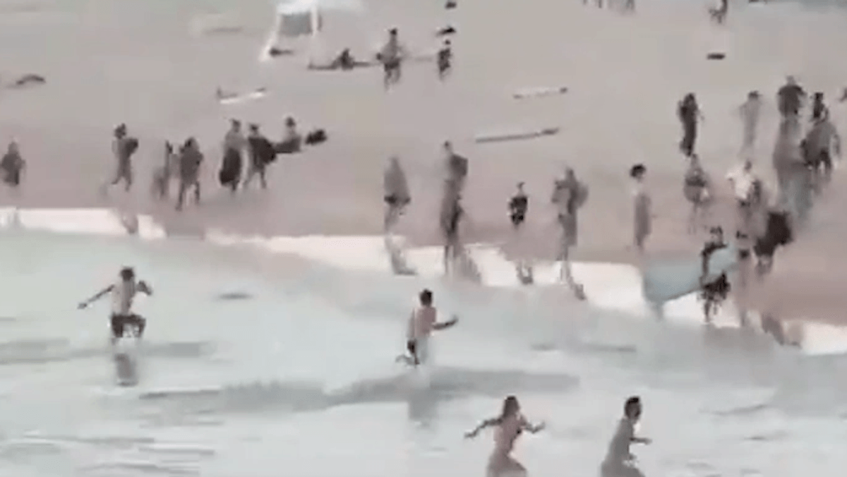 Schusswaffenangriff auf Strandbesucher: Angreifer waren Vater und Sohn