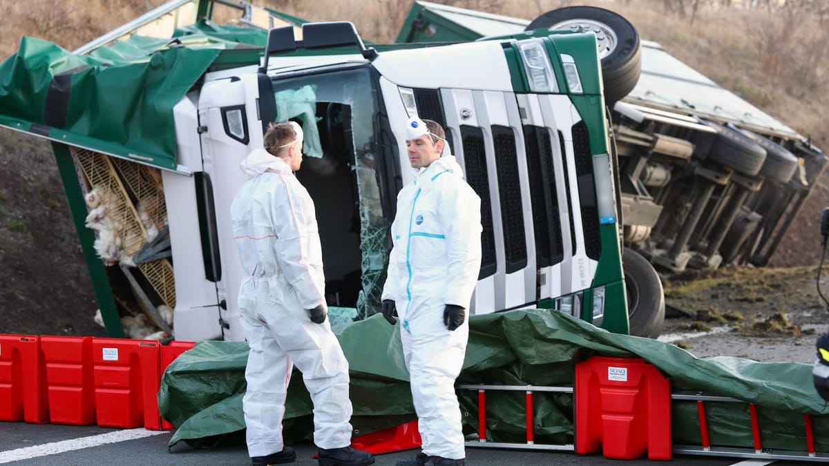 Tausende Hühner legen A36 lahm Tausende Hühner legen A36 lahm