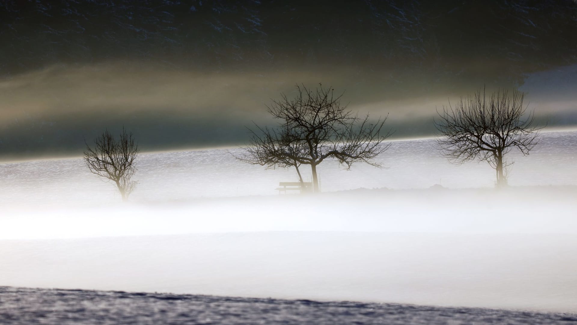 Das Wetter in Deutschland bleibt für Dezember vorerst sehr mild, aber grau. Das Wetter in Deutschland bleibt für Dezember vorerst sehr mild, aber grau.