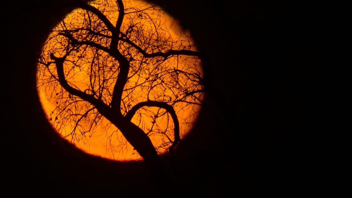 Letzter Supermond 2025: Zu welcher Uhrzeit heute der Vollmond zu sehen ist