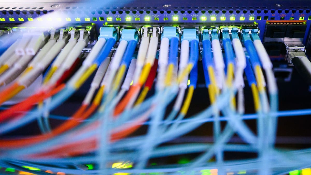 Was passiert bei einer AfD-Regierung?